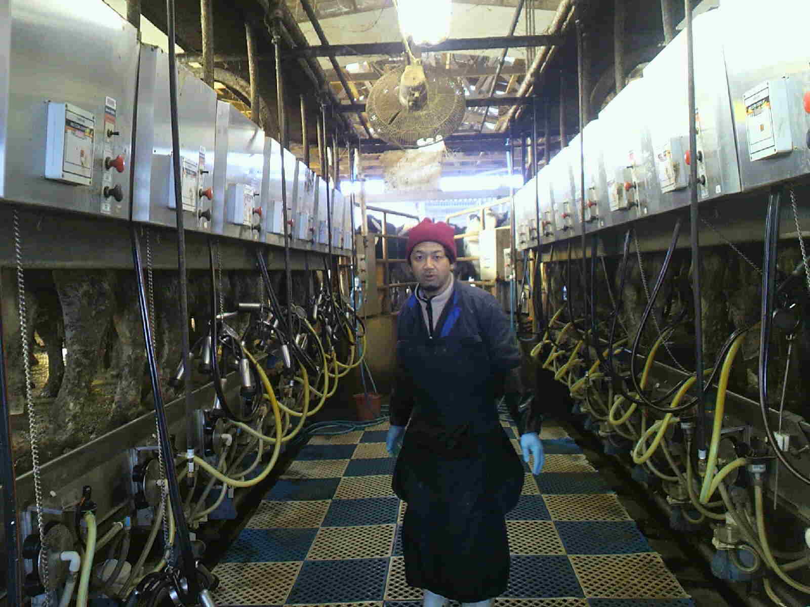 YAMADA, Masaru Visiting Professor at Meiji University